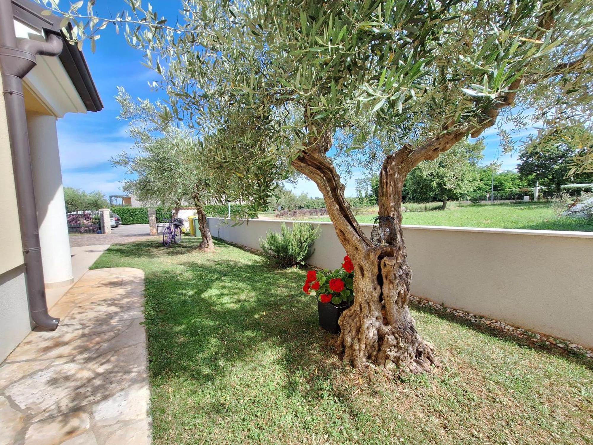 Apartmani Berber Babici Exterior foto